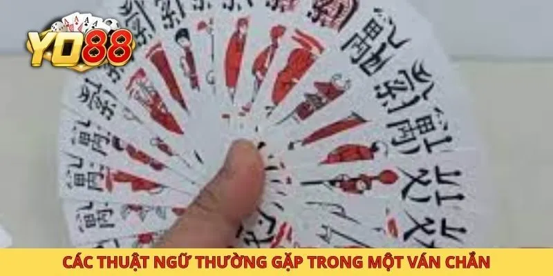 Các thuật ngữ thường gặp trong một ván chắn
