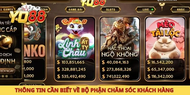 Thông tin cần biết về bộ phận chăm sóc khách hàng